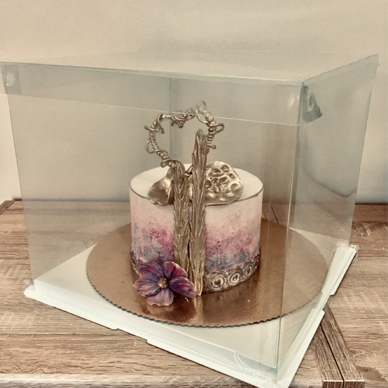 Cake box plastic H 30x30x18cm - 5ks