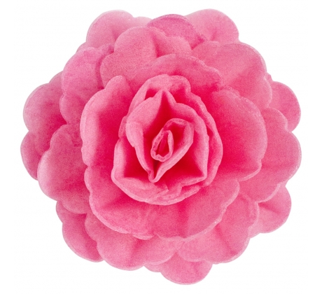 Oblátková Ruža čínska tieňovaná fuchsia 12,5cm