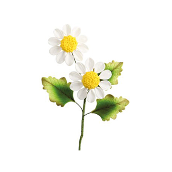 Kytička margarétka biela 1ks/66035