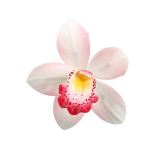 Dekorácia - orchidea ružová 6cm 1ks/66042