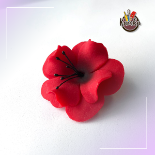 Magnólia malá červená 1ks