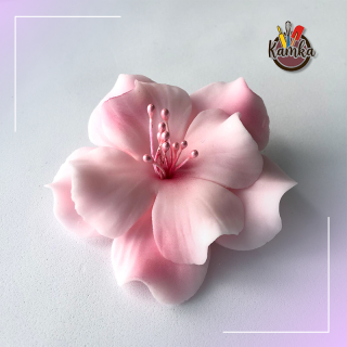 Magnólia ružová veľká 1ks