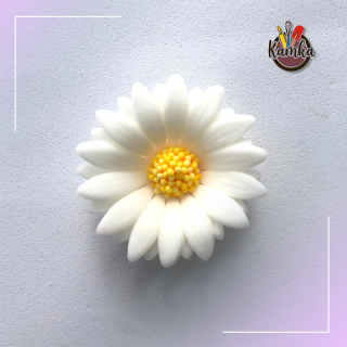 Margarétka biela 1ks