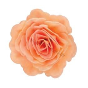 Ruža čínska maxi púdrová 12,5cm