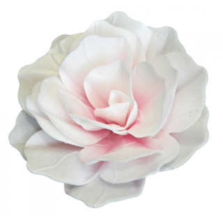 Ruža pastella - tieňovaná ružová 12,5cm