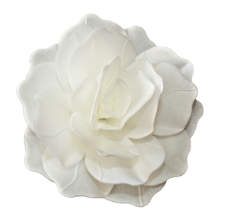 Ruža pastella - biela 12,5cm