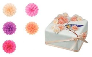 Sedmokráska pomponova mix 12ks